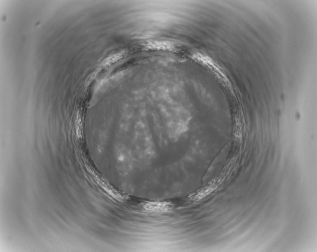 X0000087630465200705181505