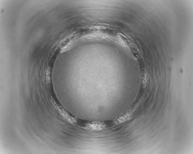 X0000087630466200705181505