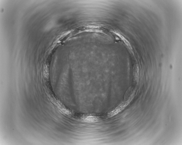 X0000087630467200705181505