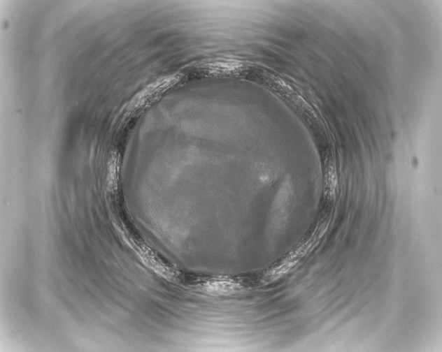 X0000087630468200705181505