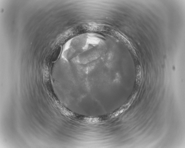 X0000087630469200705181505