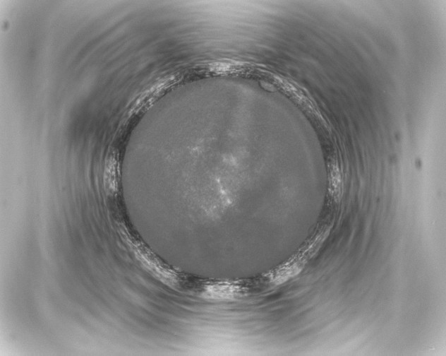 X0000087630470200705181505