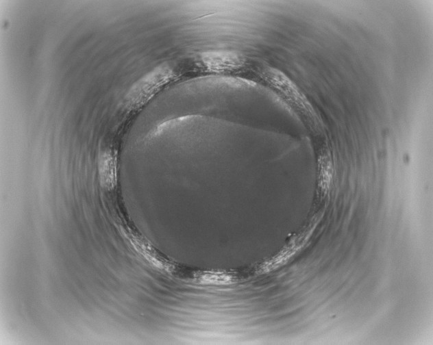 X0000087630471200705181505