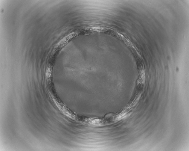 X0000087630472200705181505