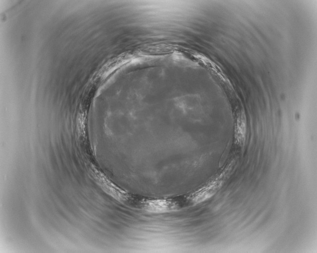 X0000087630473200705181505