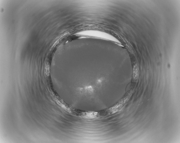 X0000087630474200705181505