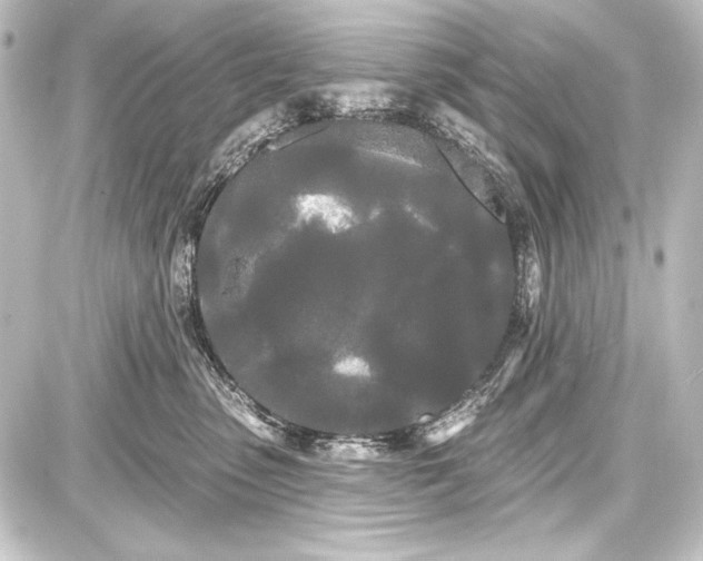 X0000087630475200705181505