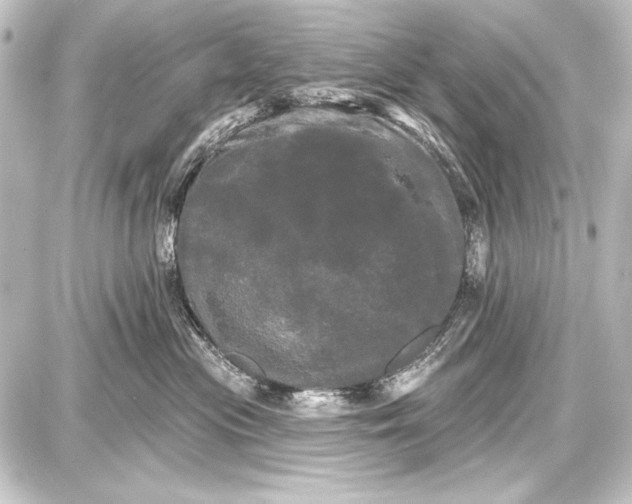 X0000087630477200705181505