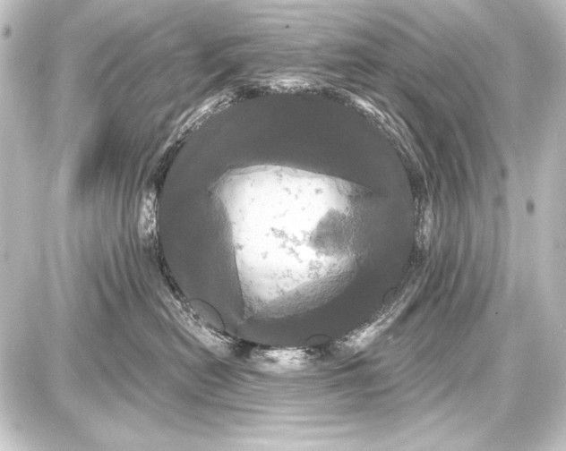 X0000087630478200705181505