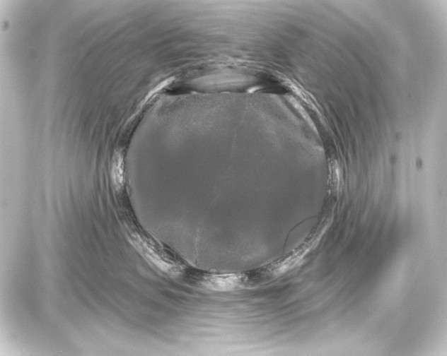 X0000087630479200705181505