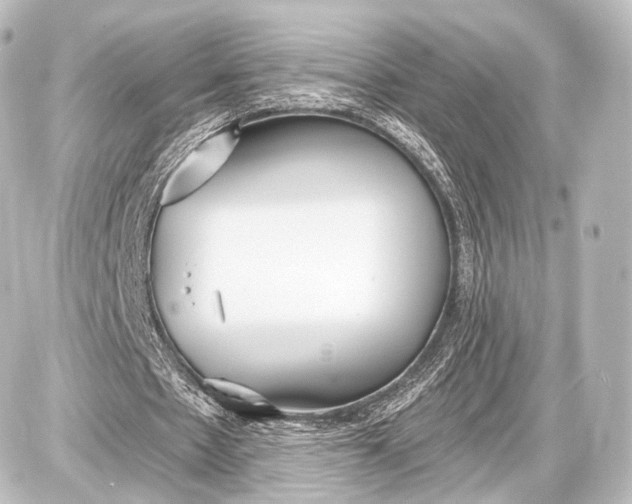 X0000087630481200705181504