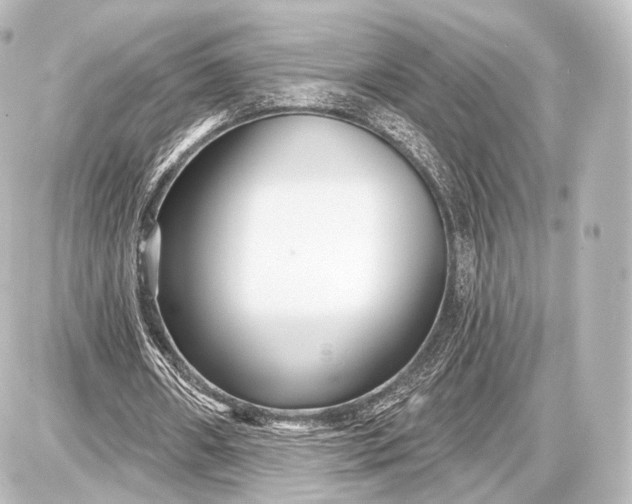 X0000087630482200705181504