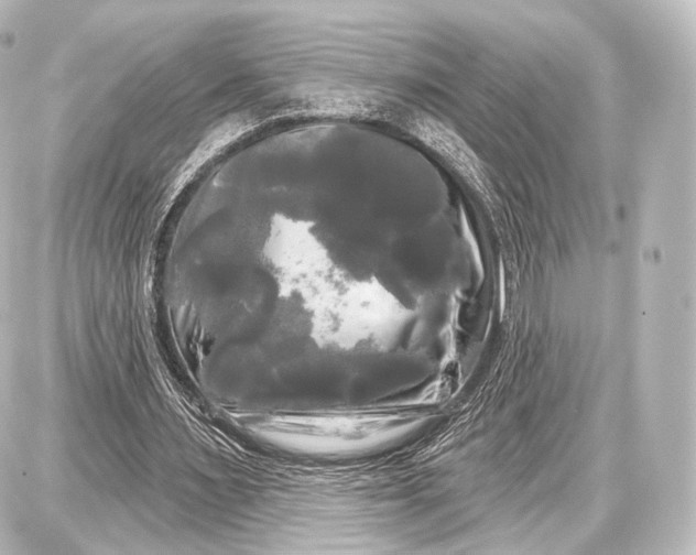 X0000087630483200705181504