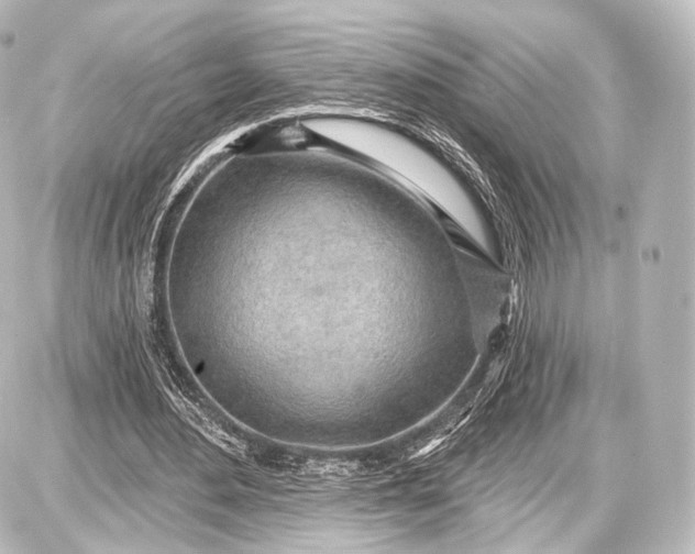 X0000087630484200705181504