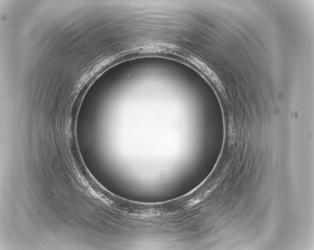 X0000087630485200705181504