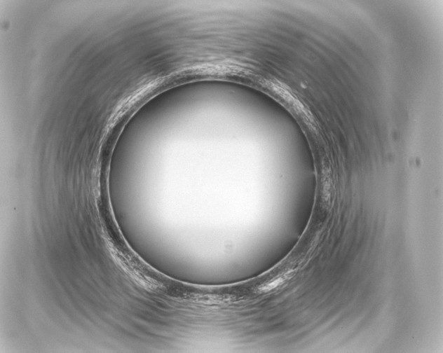 X0000087630486200705181504