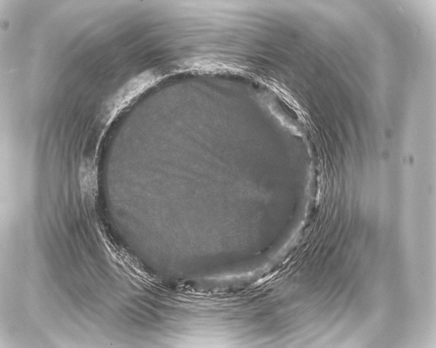 X0000087630488200705181504