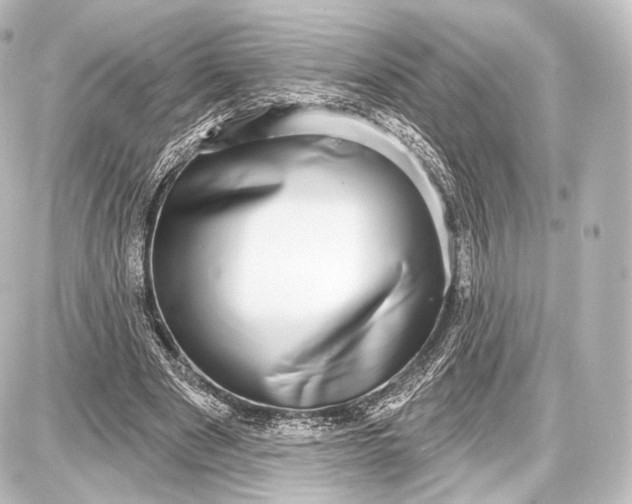 X0000087630489200705181504