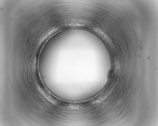 X0000087630490200705181504