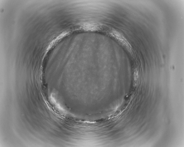 X0000087630492200705181504