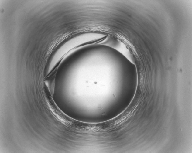 X0000087630493200705181504