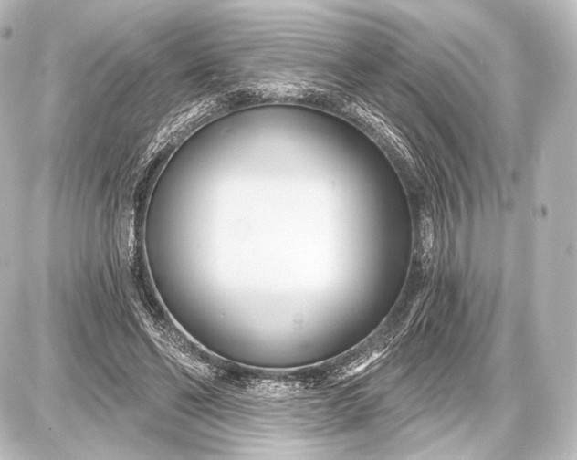 X0000087630494200705181504