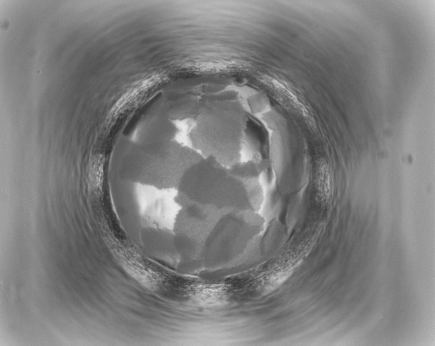 X0000087630495200705181504