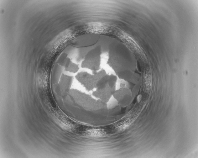 X0000087630499200705181504