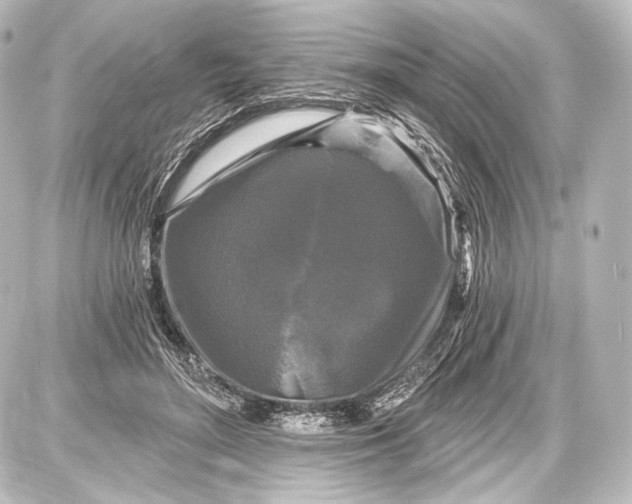 X0000087630500200705181504