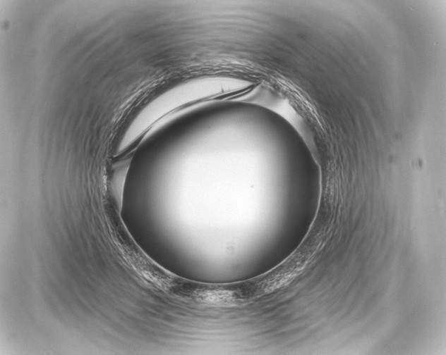 X0000087630501200705181504