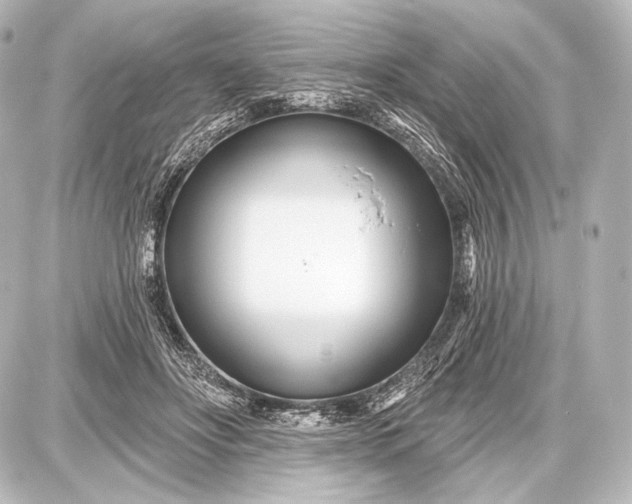 X0000087630502200705181504