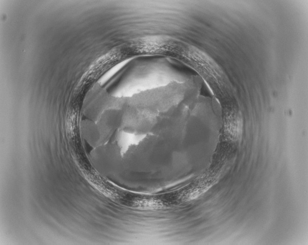 X0000087630503200705181504