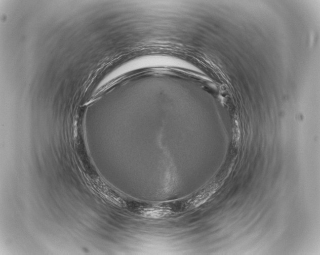 X0000087630504200705181504