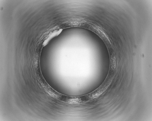 X0000087630505200705181504