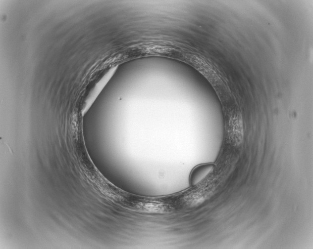 X0000087630506200705181504