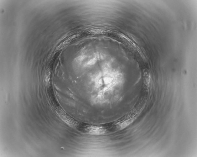 X0000087630507200705181504