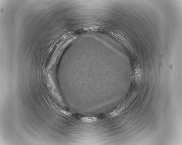 X0000087630508200705181504