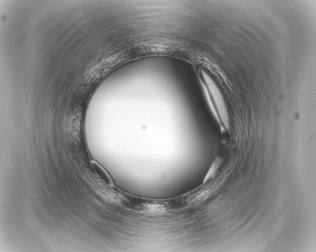 X0000087630509200705181504