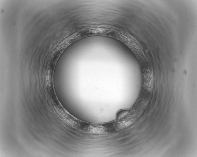 X0000087630510200705181504