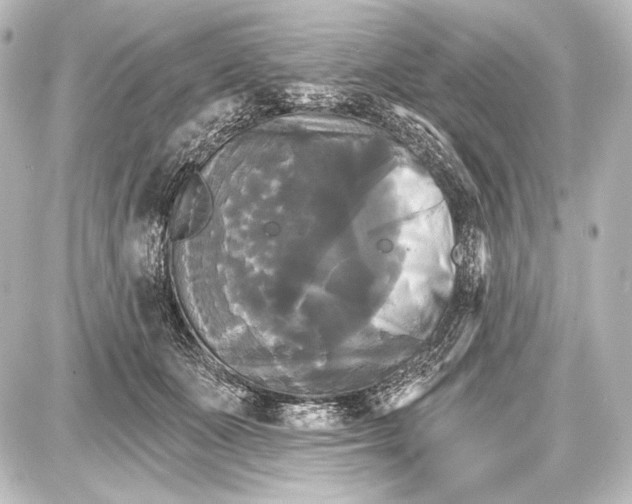 X0000087630511200705181504