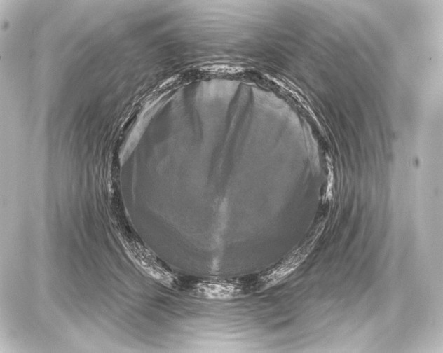 X0000087630512200705181504