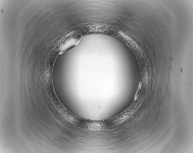 X0000087630513200705181504