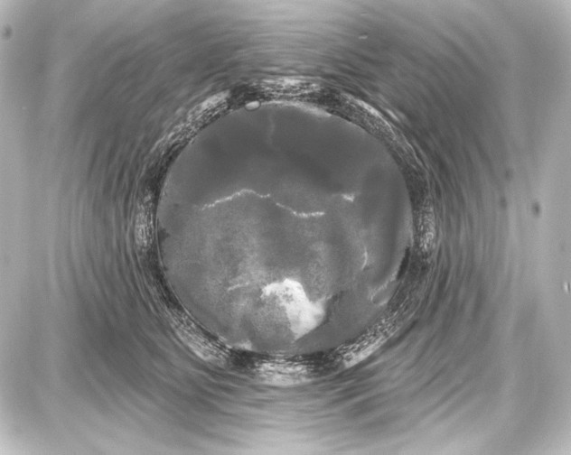 X0000087630515200705181504