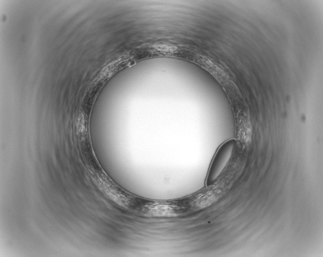 X0000087630518200705181504