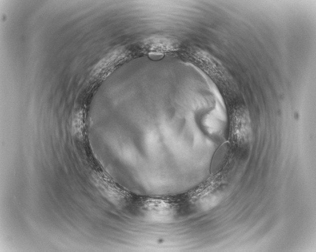 X0000087630519200705181503