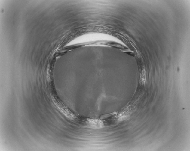 X0000087630520200705181503