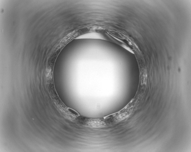 X0000087630521200705181503