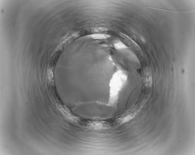 X0000087630523200705181503