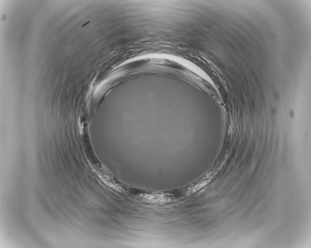 X0000087630524200705181503