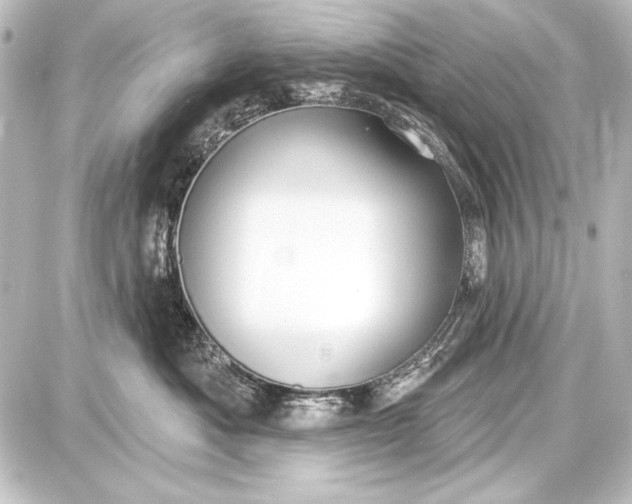 X0000087630525200705181503